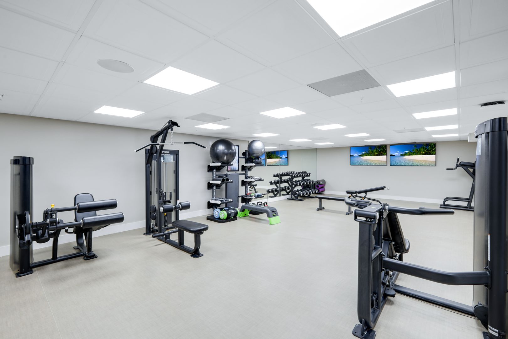 Modern gym with exercise equipment and weights.