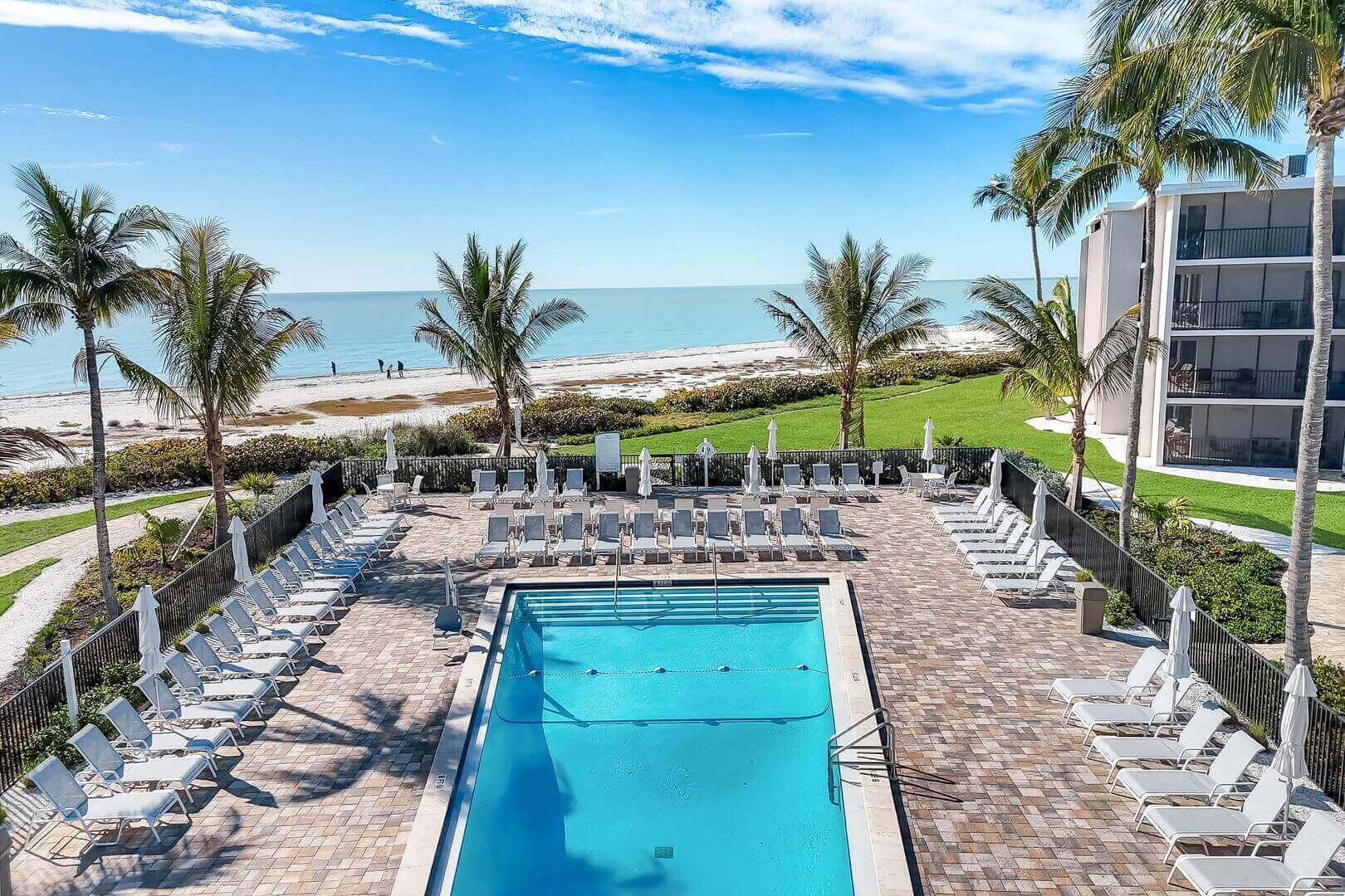Beachside pool with lounge chairs and palm trees.